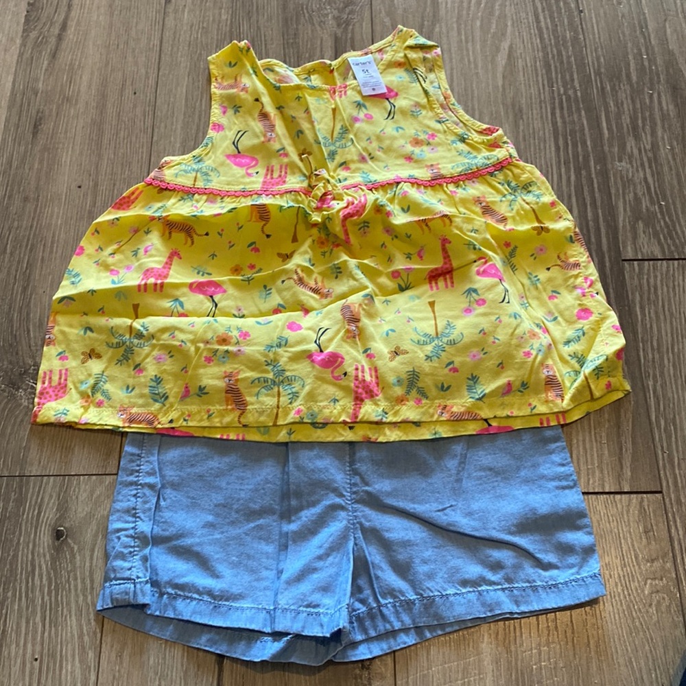 Carter’s 5T Matching Safari Animal Outfit 💛🦩🦒🐅💙